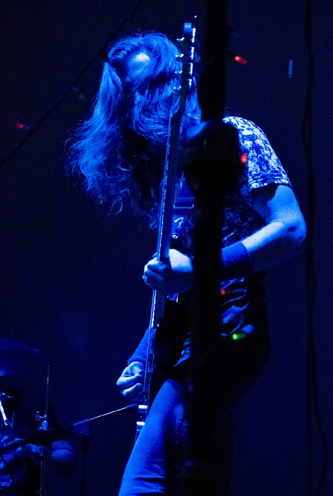 Image of Reigning Scarlet
