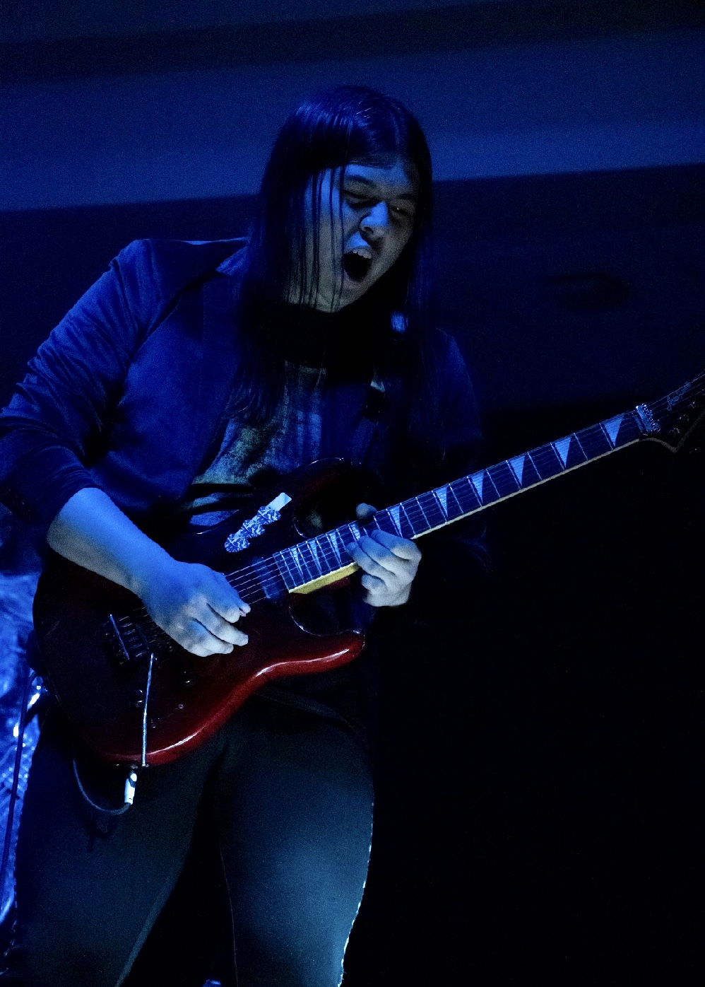 Image of Reigning Scarlet